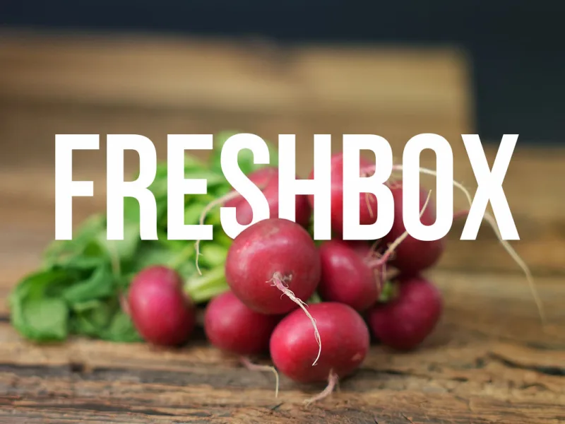 Freshbox Fotoshooting: frische Früchte in Szene gesetzt.