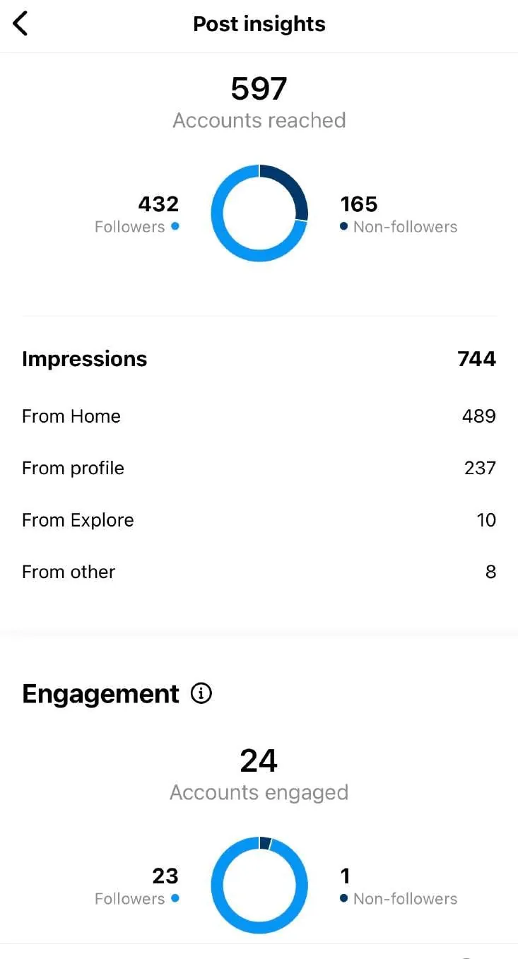 Instagram-Profilstatistik von Giada Ilardo vor der Zusammenarbeit.